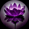 violetvntge